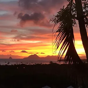 Belfond-tropical , Sainte-Anne Martinique